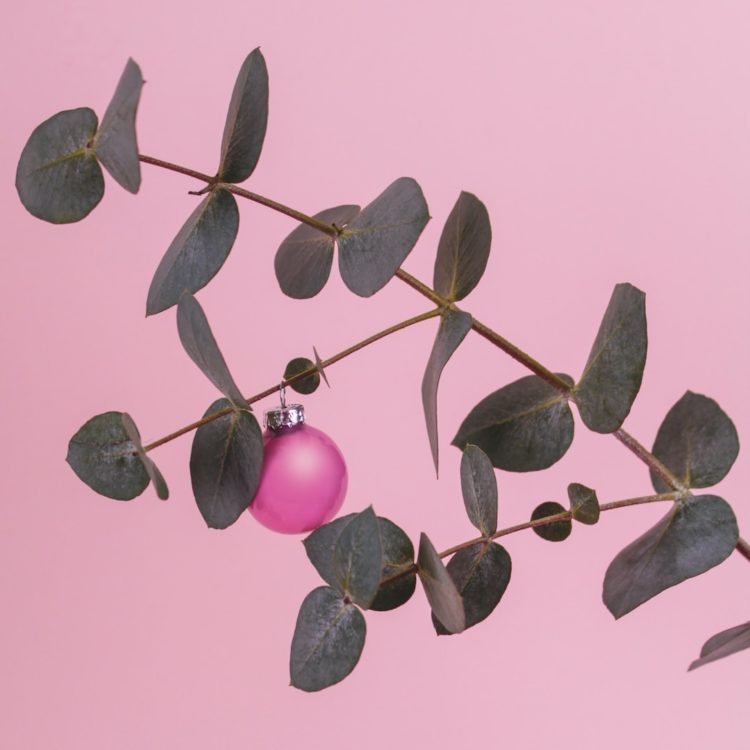 12 Days of Introvert Christmas