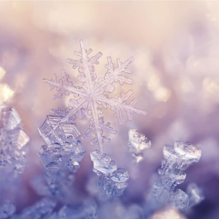 Walking In Winter